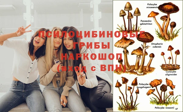 сатива Абдулино