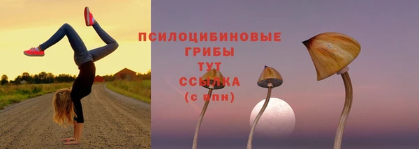 сатива Абдулино