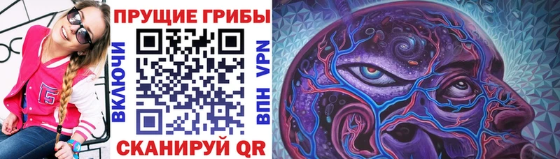 Галлюциногенные грибы MAGIC MUSHROOMS  Комсомольск-на-Амуре 